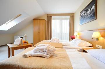 Фото номера Двухместный номер с 2 отдельными кроватями Отель Hotel Alpejski г. Поляница-Здруй 2