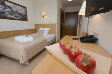 Фото номера Одноместный номер Отель Hotel Alpejski г. Поляница-Здруй 3