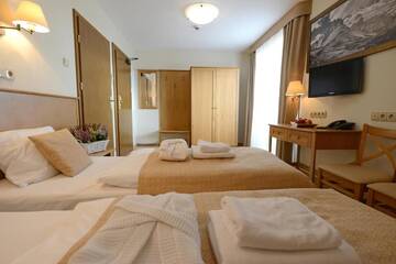 Фото номера Двухместный номер с 2 отдельными кроватями Отель Hotel Alpejski г. Поляница-Здруй 3